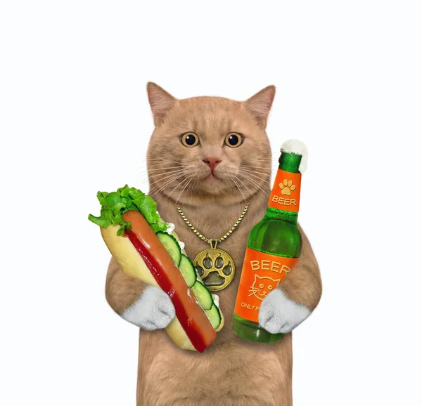 Een Roodachtige Kat Houdt Een Fles Bier Een Hotdog Vast — Stockfoto