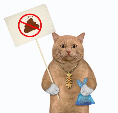 Kırmızımsı bir kedi, içinde kaka olan mavi bir poşet tutar ve evcil hayvanlarının arkasını temizleme yasağı tabelasını. Beyaz arka plan. İzole edilmiş.