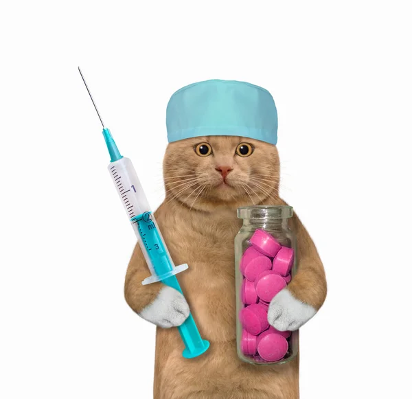 医療用の帽子の赤い猫の医者はピンクの薬と注射器のボトルを持っています 白地だ — ストック写真