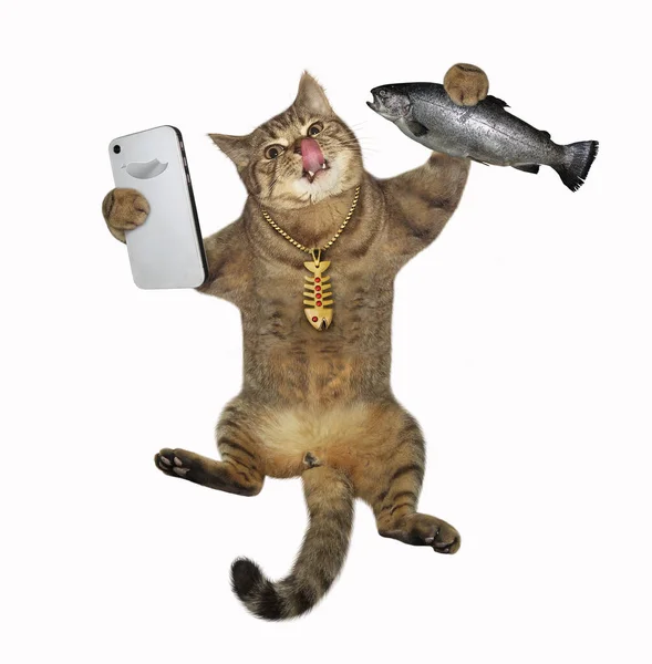 Beżowy Kot Robi Sobie Selfie Rybą Białe Tło Izolacja — Zdjęcie stockowe
