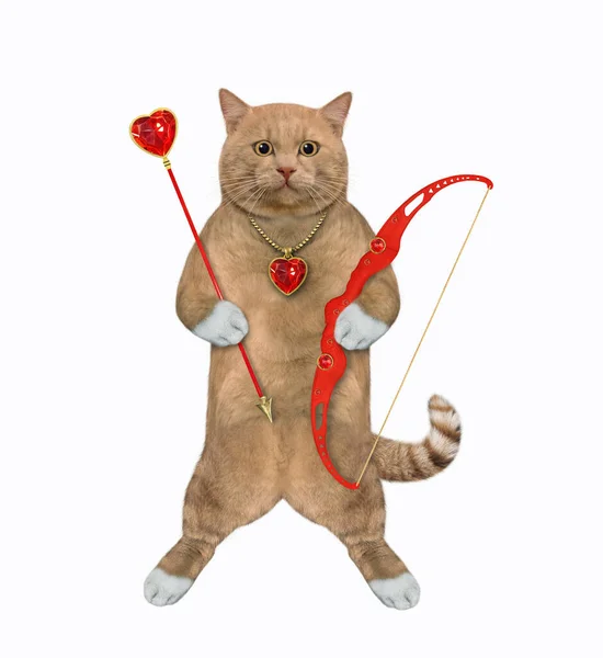 Μια Κοκκινωπή Γάτα Ένα Ρουμπινί Μενταγιόν Σχήμα Καρδιάς Κρατά Ένα — Φωτογραφία Αρχείου