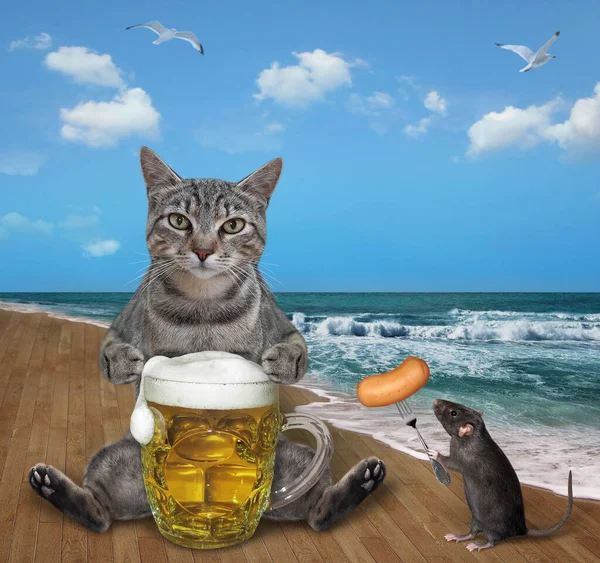 Gato Gris Con Una Taza Cerveza Está Sentado Paseo Marítimo — Foto de Stock