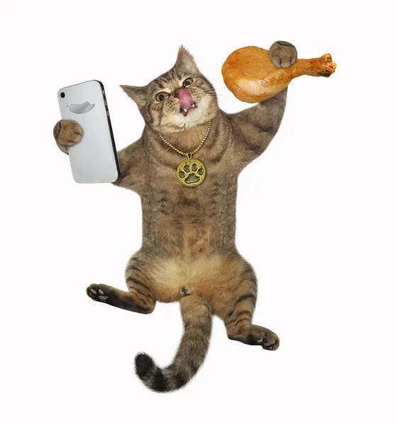 Gato Beige Toma Una Selfie Con Una Pierna Pollo Frito — Foto de Stock