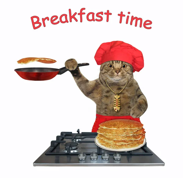 Beige Cat Red Chef Hat Apron Cooks Pancakes Gas Stove — Stock Photo, Image