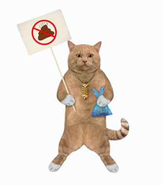 Kırmızımsı bir kedi, içinde kaka olan mavi bir naylon poşet ve evcil hayvanlarının arkasını temizleyin yazan bir yasak levhası tutuyor. Beyaz arka plan. İzole edilmiş.