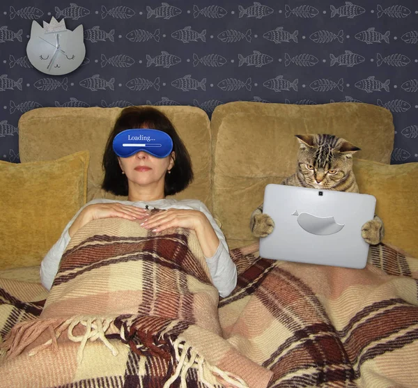 Posteli Chytrá Béžová Kočka Dívá Laptop Jeho Majitel Spí Vedle — Stock fotografie