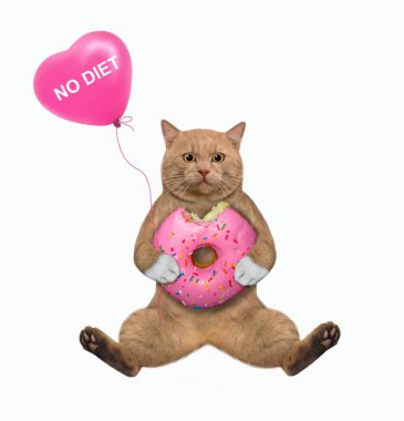 Kırmızımsı bir kedi oturur ve elinde pembe bir çörek ve içinde diyet olmayan kalp şeklinde bir balon taşır. Beyaz arka plan. İzole edilmiş.