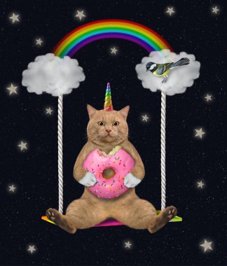 Pembe donutlu kırmızı bir kedi tek boynuzlu at gece gökkuşağının altında bulutlu bir salıncakta oturur..