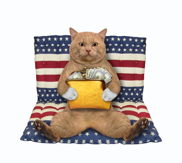 고양이가 오렌지색 지갑을 침대에 있습니다 고립됨 — 스톡 사진
