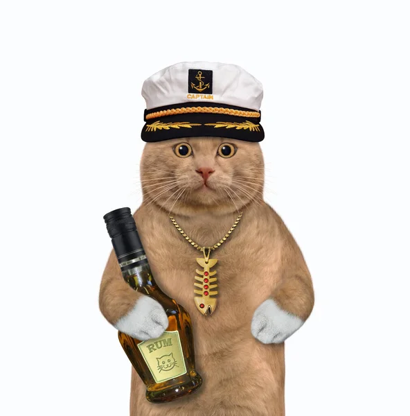 Capitán Gato Rojizo Sombrero Marinero Con Una Botella Ron Fondo — Foto de Stock