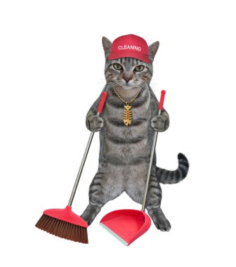Kırmızı şapkalı gri bir kedi süpürge ve faraş tutuyor. Beyaz arka plan. İzole edilmiş.
