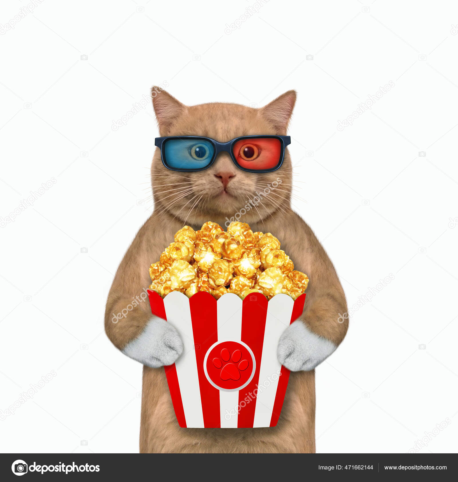 Красноватая Кошка Очках Ест Попкорн Смотрит Фильм Белый Фон.