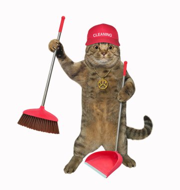 Kırmızı şapkalı bej bir kedi süpürge ve faraş tutuyor. Beyaz arka plan. İzole edilmiş.