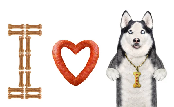 Cão Husky Fica Perto Uma Salsicha Forma Coração Uma Letra — Fotografia de Stock