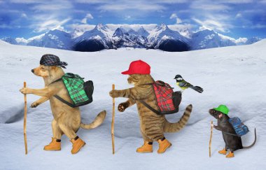 Sırt çantalı turistler dağlarda yürüyüş yapıyor..