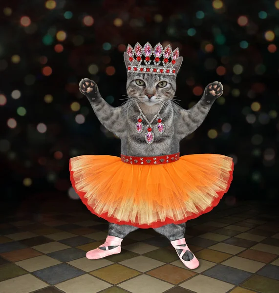 Gray Cat Ballet Dancer Orange Skirt Dancing Stage — Stock Photo, Image