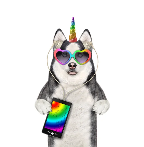 Dog Husky Unicorn Heart Shaped Glasses Listens Music White Background — Stock Photo, Image