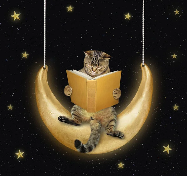 Açık Bir Kitabı Olan Bej Bir Kedi Geceleri Ayda Sallanıyor — Stok fotoğraf