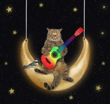 Akustik gitarlı bej bir kedi geceleri ayda sallanıyor..