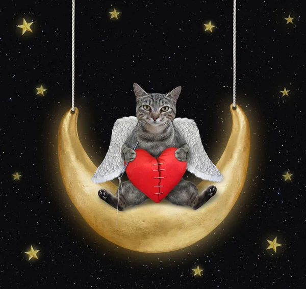Anjo Gato Cinza Com Coração Vermelho Quebrado Está Balançando Lua — Fotografia de Stock