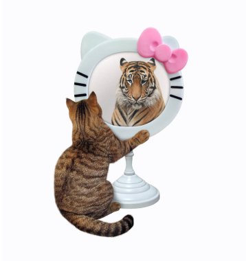 Bej renkli bir kedi komik yuvarlak bir aynaya bakar. Orada bir kaplan görüyor. Beyaz arka plan. İzole edilmiş.