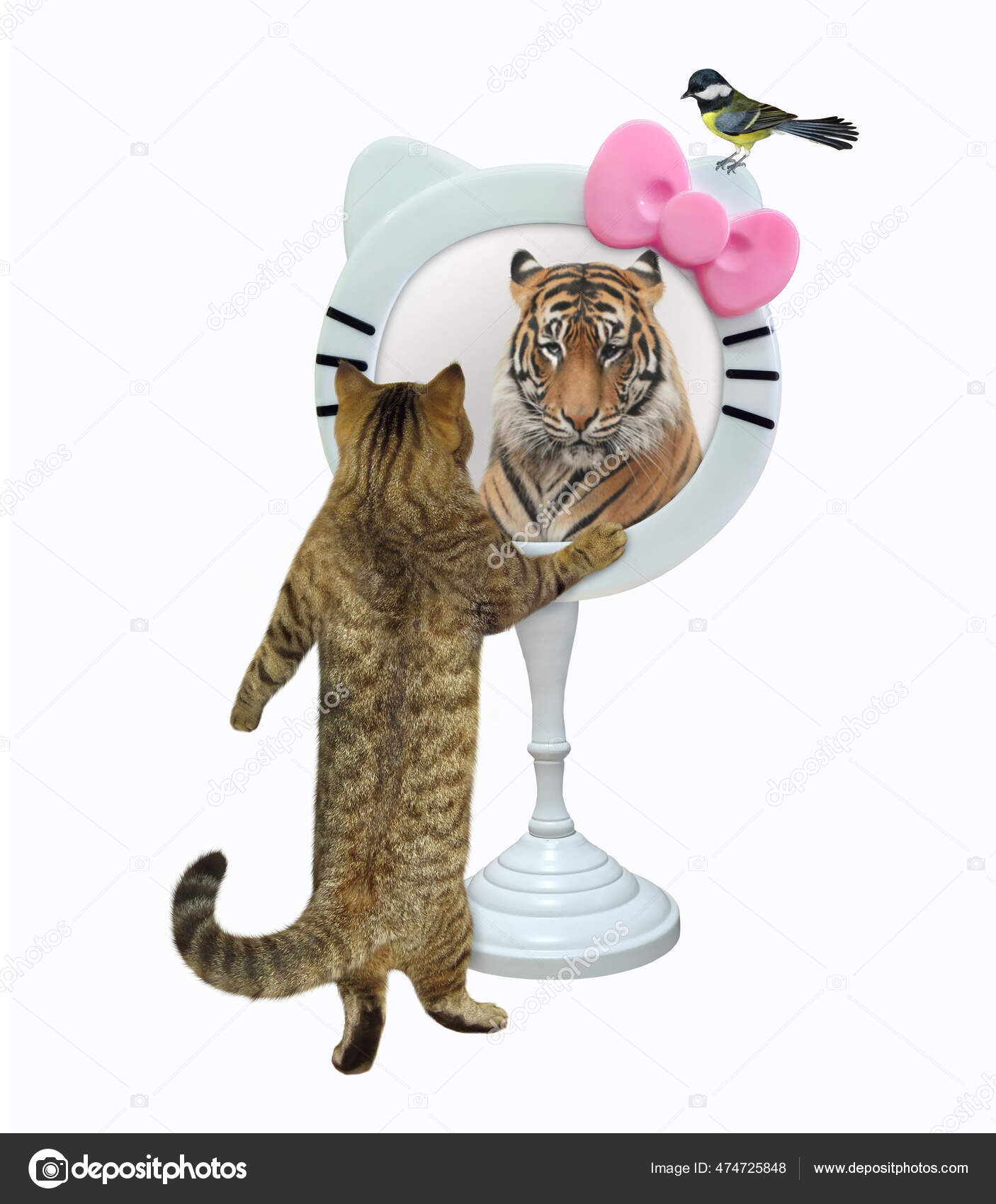 Lion Chat Miroir Images Libres De Droit Photos De Lion Chat Miroir Depositphotos Lion Chat Miroir Images Libres De Droit Photos De Lion Chat Miroir Depositphotos