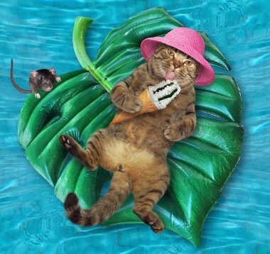 Hasır şapkalı bej bir kedi ve dondurma külahı tatil köyündeki havuzda şişme yeşil bir yaprağın üzerinde yatıyor..