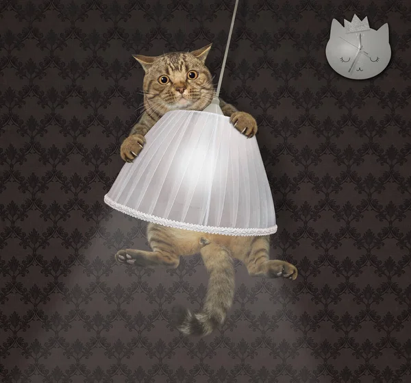 Beige Cat Swinging Chandelier Home — Stock Photo, Image