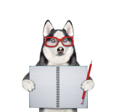 Gözlüklü bir köpek köpeğinin elinde kırmızı bir kalem ve açık bir defter var. Beyaz arka plan. İzole edilmiş.