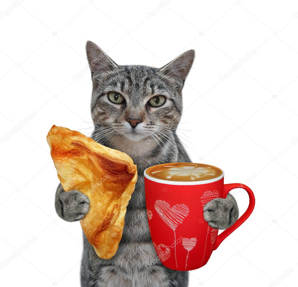 A gray cat holds a triangle puff pastry bun and a cup of coffee. White background. Isolated.