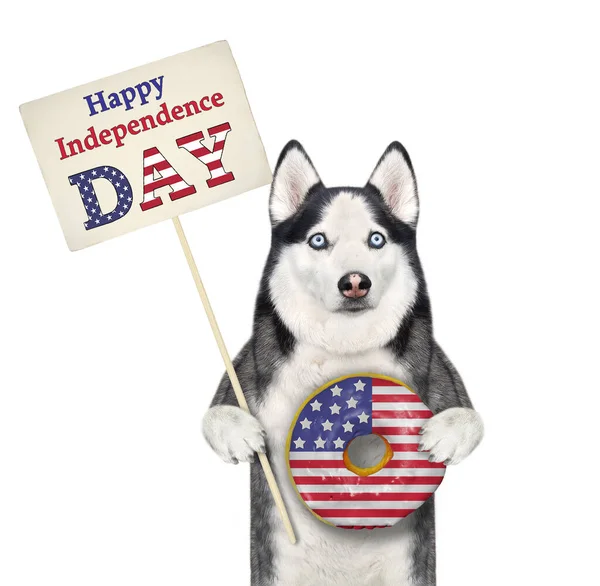 Dog Husky Patriot Holding Usa Donut Poster Says Happy Independence — Stock Photo, Image