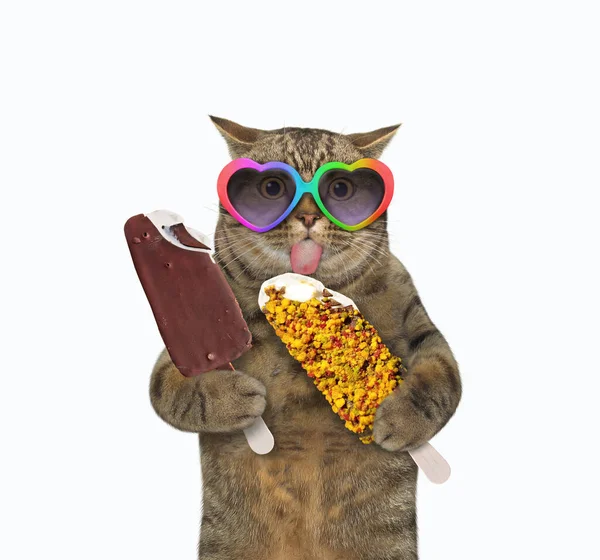 Gato Beige Sostiene Dos Paletas Fondo Blanco Aislado — Foto de Stock