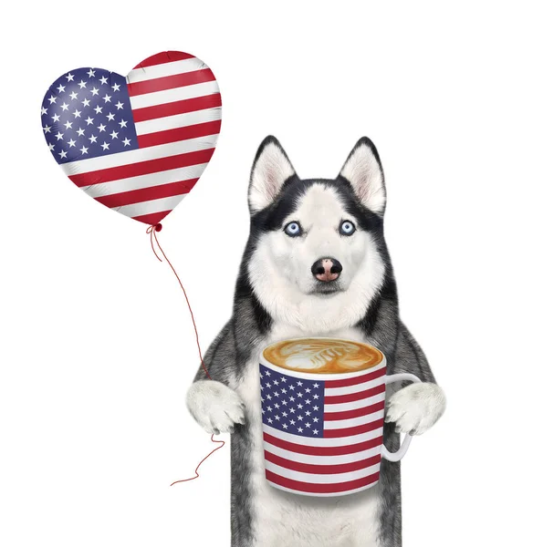 一只狗哈士奇爱国者手里拿着一个美国心脏形状的气球和一杯咖啡 白色背景 被隔离了 — 图库照片