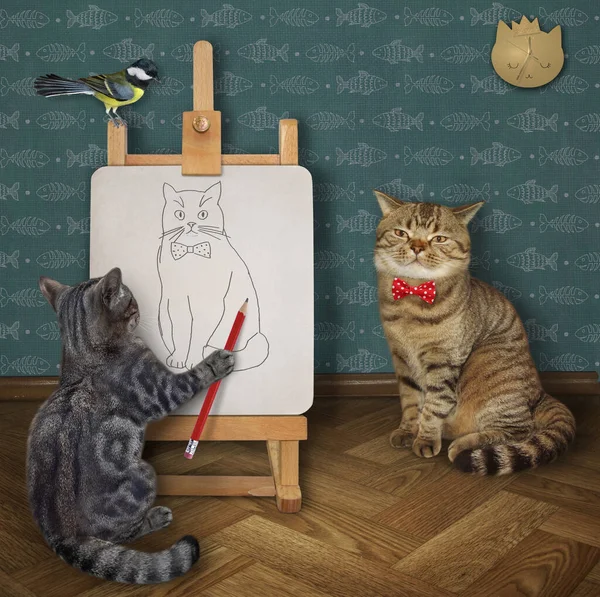 Ein Grauer Katzenkünstler Mit Pinsel Malt Seinen Freund Mit Fliege — Stockfoto