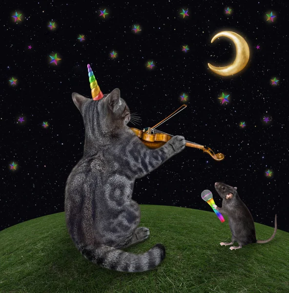 Gri Bir Kedi Tek Boynuzlu Müzisyeni Gecesinde Çayırda Keman Çalıyor — Stok fotoğraf