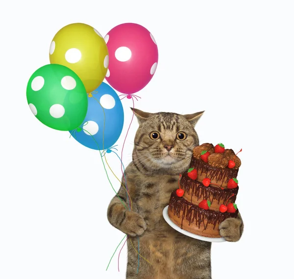 Gato Beige Sostiene Pastel Trufa Chocolate Vacaciones Globos Colores Fondo —  Fotos de Stock