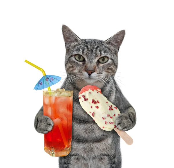 Gray Cat Holds Fruit Popsicle Glass Juice Ice White Background Royalty Free Stock Images