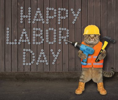 Çalışan giysiler içinde bej renkli bir kedi müteahhitinin elinde matkap ve çekiç vardır..