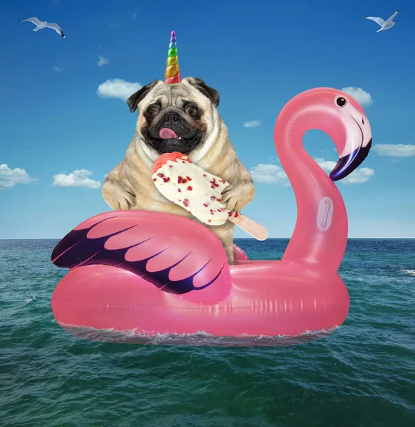 Ένα Σκυλάκι Παγωτό Επιπλέει Ένα Φουσκωτό Ροζ Φλαμίνγκο Στη Θάλασσα — Φωτογραφία Αρχείου