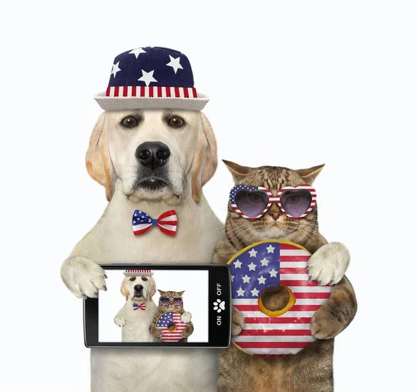 Psi Labrador Smartfonem Przytula Beżowego Kota Amerykańską Flagą Pączka Białe — Zdjęcie stockowe