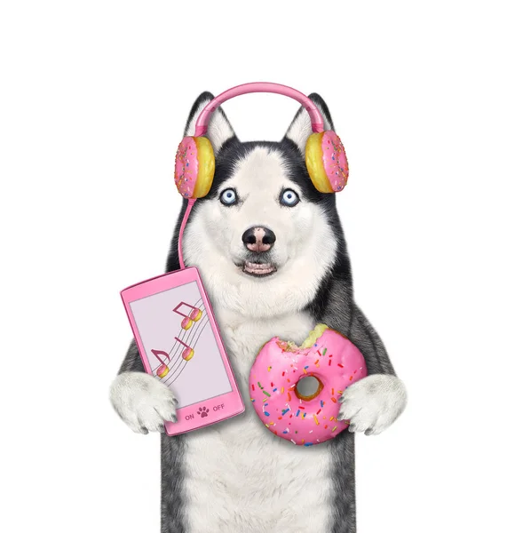 Perro Husky Auriculares Rosados Rosquilla Sostiene Teléfono Inteligente Una Rosquilla —  Fotos de Stock