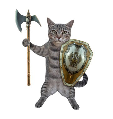 Savaş baltası ve kalkanı olan gri bir kedi. Beyaz arka plan. İzole edilmiş.