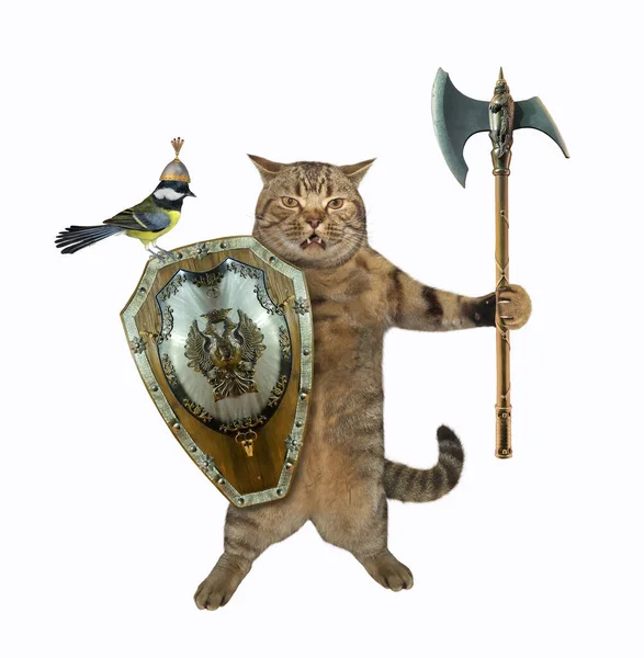 Beige Cat Armed Battle Axe Shield White Background Isolated — Stock Photo, Image