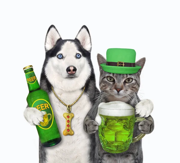 Perro Husky Con Gato Gris Sombrero Bebe Cerveza Verde Día —  Fotos de Stock