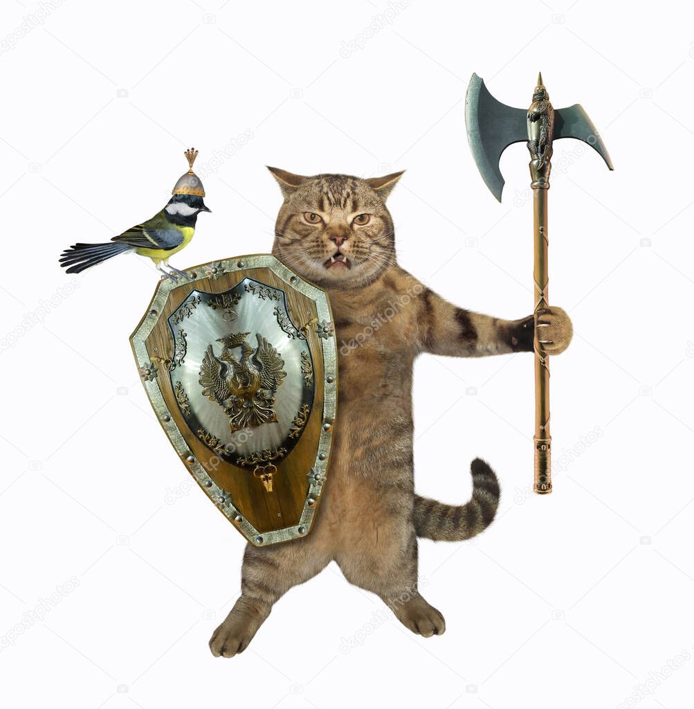 A beige cat armed with a battle axe and a shield. White background. Isolated.
