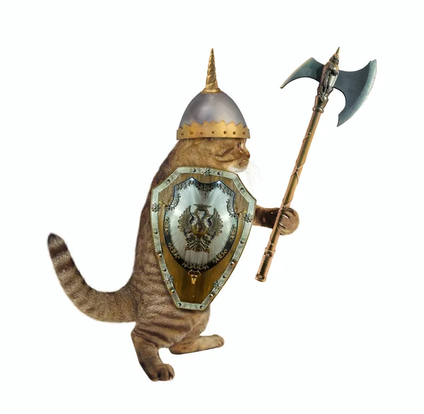 Eine Beige Katze Bewaffnet Mit Einem Kampfbeil Einem Helm Und — Stockfoto