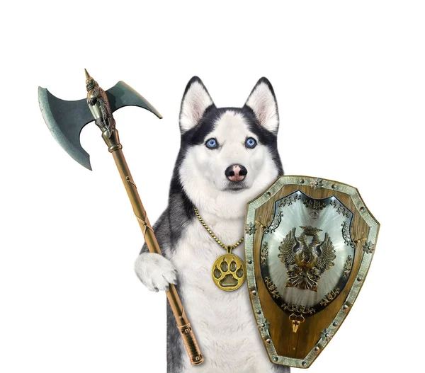 Perro Husky Armado Con Hacha Batalla Escudo Fondo Blanco Aislado —  Fotos de Stock