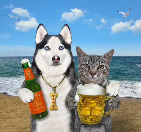 Ένας Σκύλος Μια Γκρίζα Γάτα Πίνει Μπύρα Μια Παραλία Της — Φωτογραφία Αρχείου