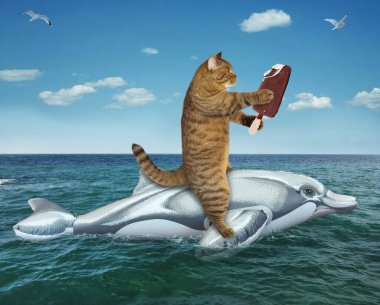 Dondurmalı bej bir kedi bir tatil köyünde denizde şişme bir yunusun üzerinde yüzüyor..