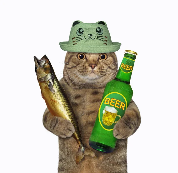 Gato Beige Con Sombrero Verde Sostiene Una Gran Caballa Ahumada —  Fotos de Stock